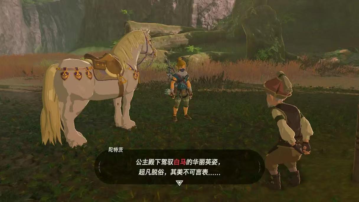 图片[3]-塞尔达传说旷野之息  v1.5.0 全 DLC WiiU整合完整版-迟归钟